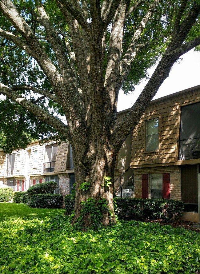 Building Photo - Beutiful 1/1  Condo x Rent in Winter Park ...