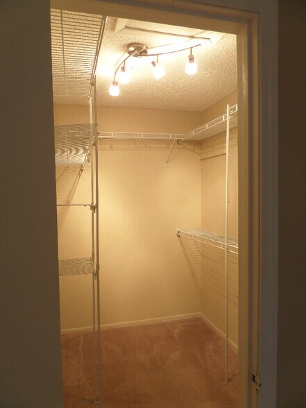 Master Closet - 6839 Arbor Springs Dr