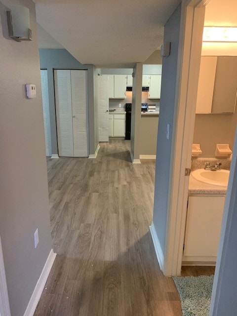 zillow homes for rent in richmond hill ga