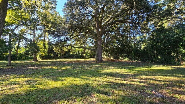 Building Photo - WRIGHTSVILLE AVENUE - 4 Bedroom - Minutes ...