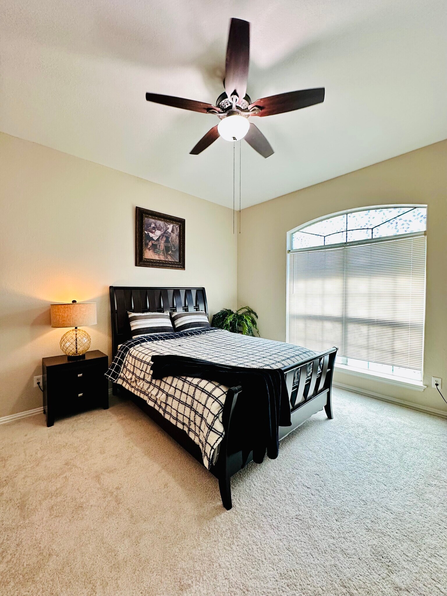 Building Photo - 4904 Bolero Ct