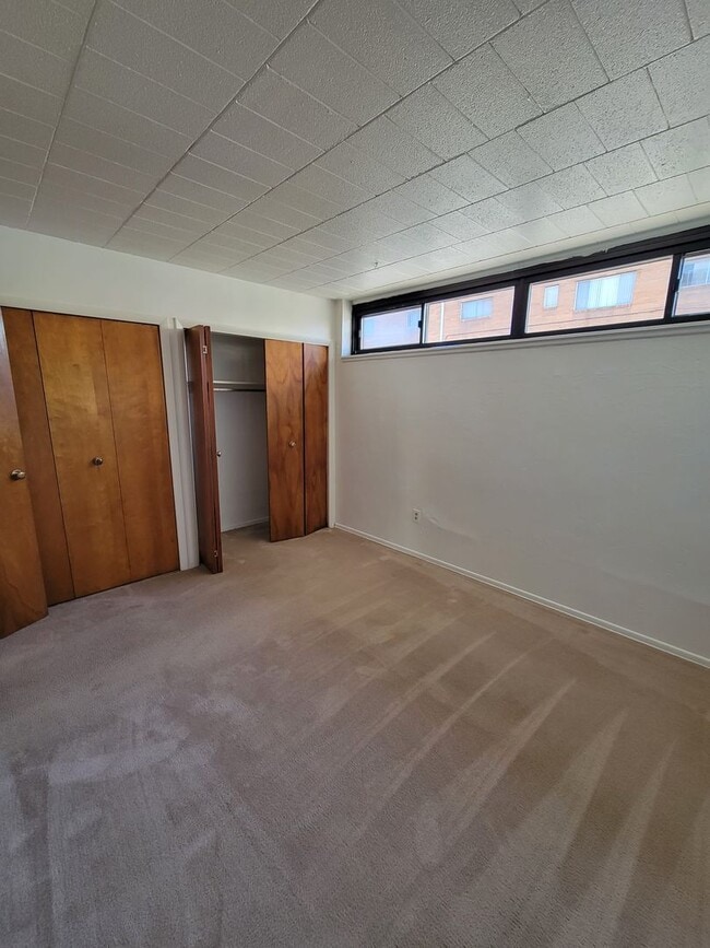 Interior Photo - Treehouse Apartments
