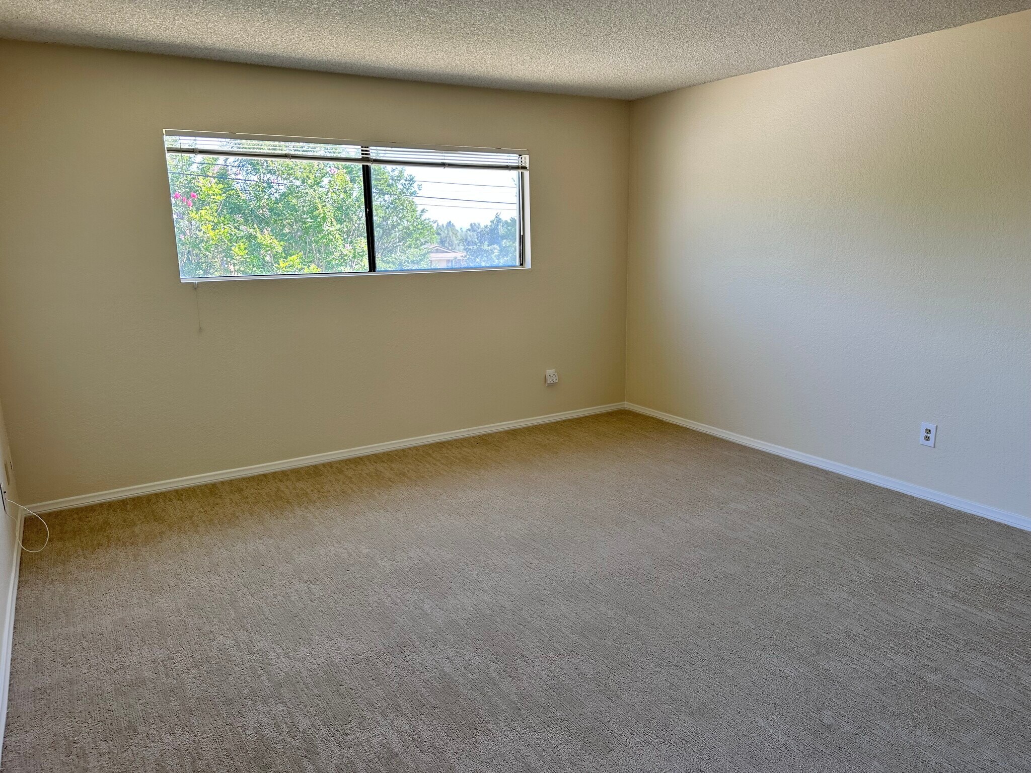 Building Photo - 3218 Tannencrest Dr