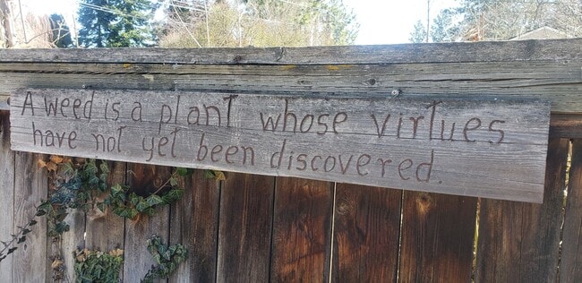 Building Photo - Available June 10th 3-bedroom, 2 bath home on a corner lot near Hamblen Elementary School