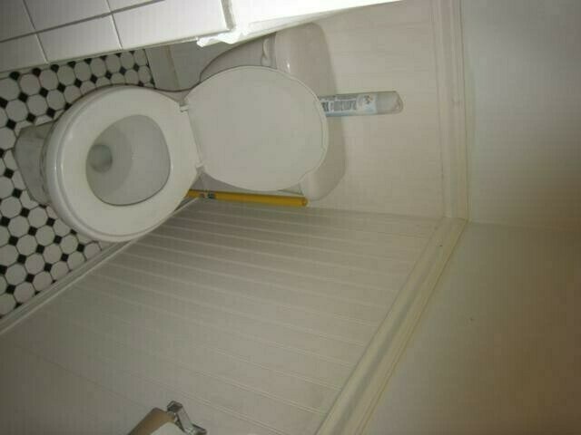 Building Photo - 62 Egmont St