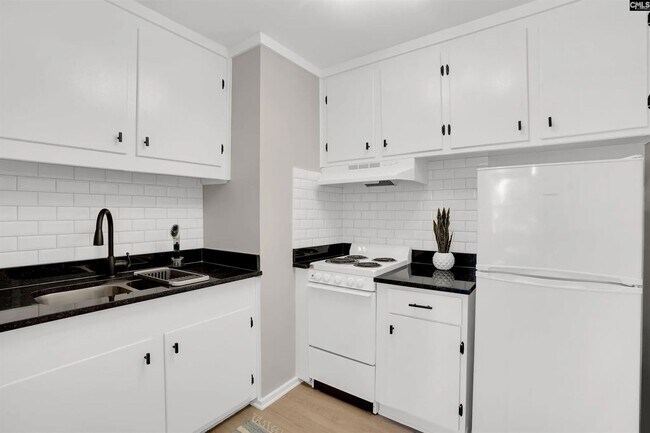 Building Photo - Renovated & Furnished Apartment in Quiet Rosewood Neighborhood