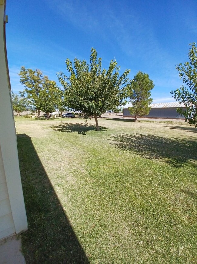 Building Photo - Ranch Style Farm