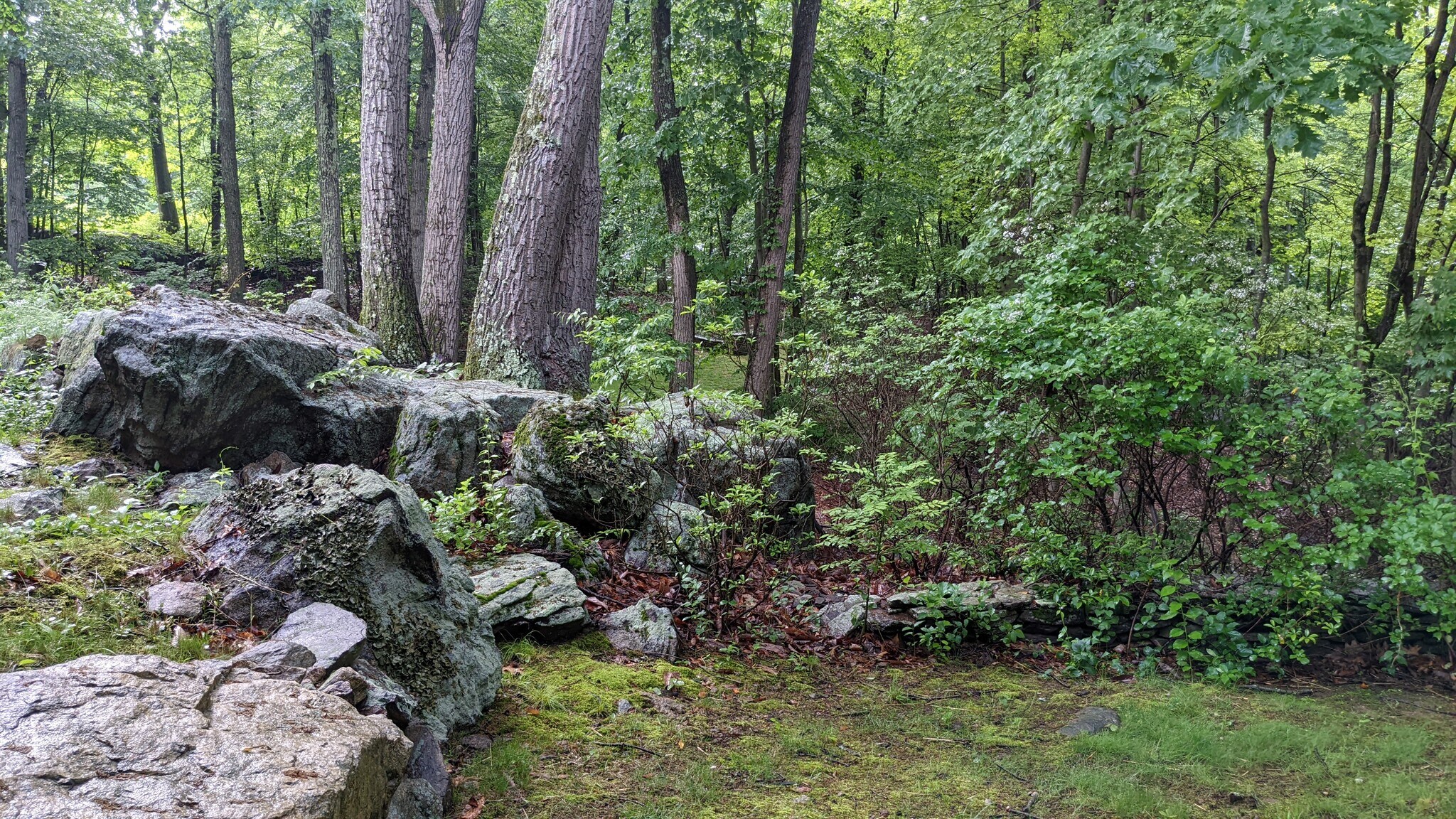 Building Photo - 9 Mountain Laurel Ln