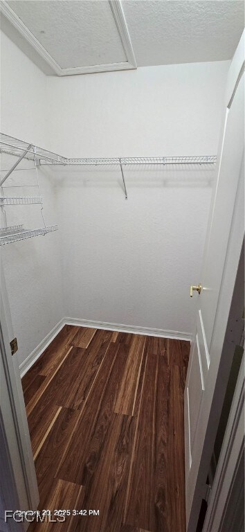 Building Photo - 8541 Athena Ct