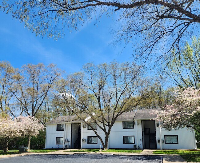Building Photo - 2 bedroom 1 bath apartment