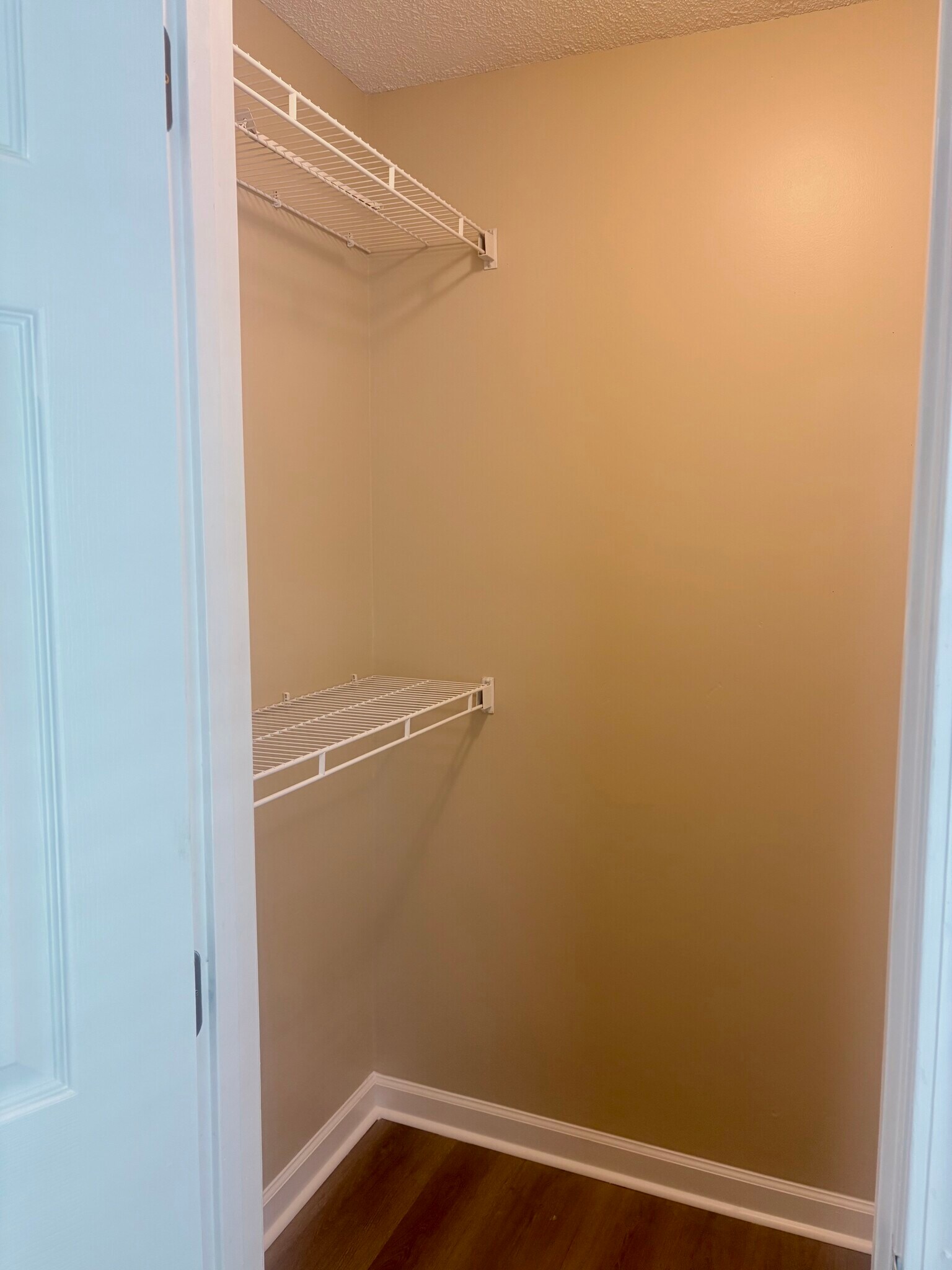 Walking closet - 1039 N Lakeshore Dr
