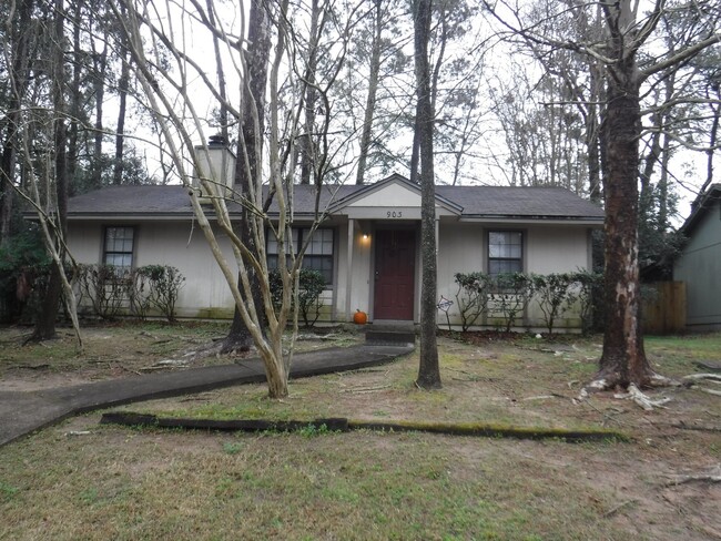 Primary Photo - 2 BR / 2 BA Single Family Home in Renegade...