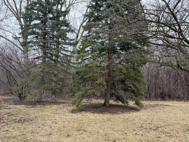 Building Photo - 229 Shea Dr