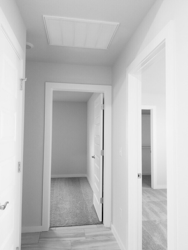 Building Photo - 500 Coconut Ln