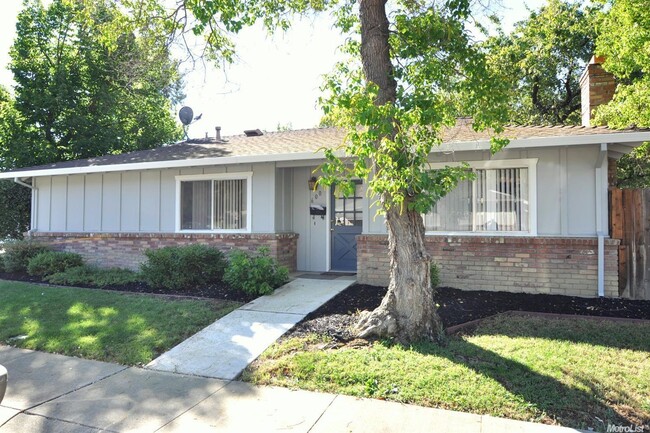 Primary Photo - Fabulous central Davis location!