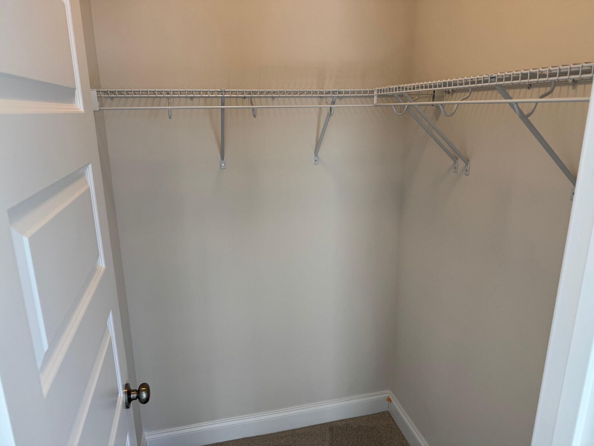 Primary Bedroom Walk-In Closet - 4406 Dominion Forest Cir