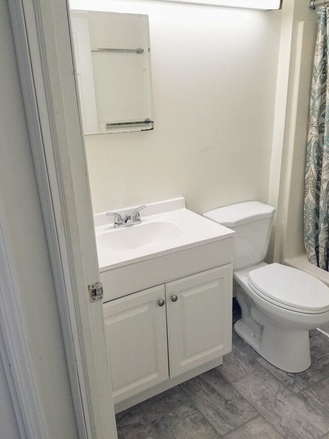 Newly Renovated Bathrooms. - 222 W Beaver Ave