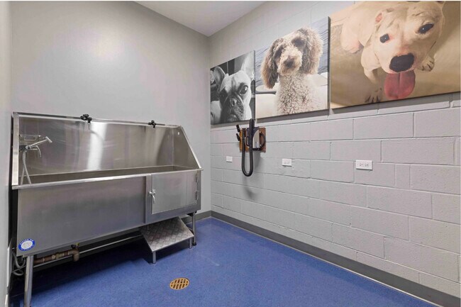 Building Photo - 420 W Belmont Ave