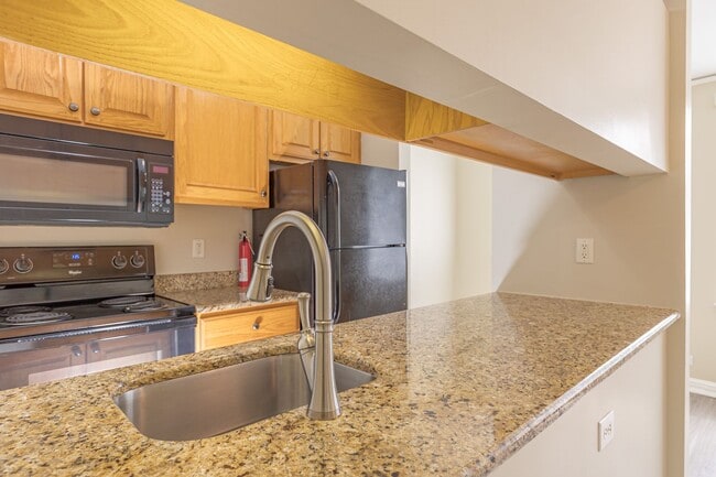 Building Photo - Beautiful 1 Bed 1 Bath near Moses Cone and...