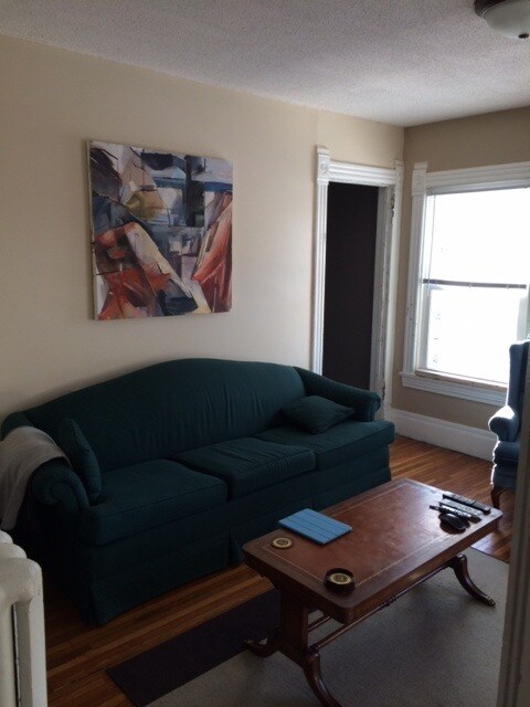 main level living room - 1336 Hewitt Ave