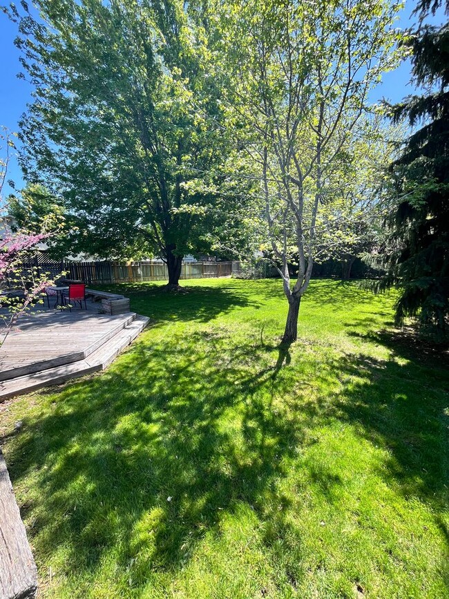 Building Photo - Newly Renovated 3 bed 2 bath home in the h...