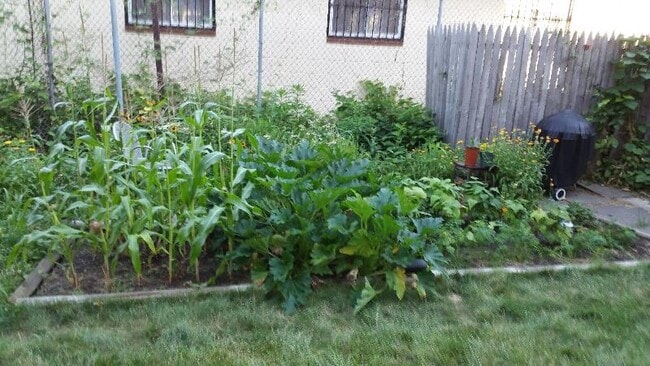 Building Photo - 247 Grove St