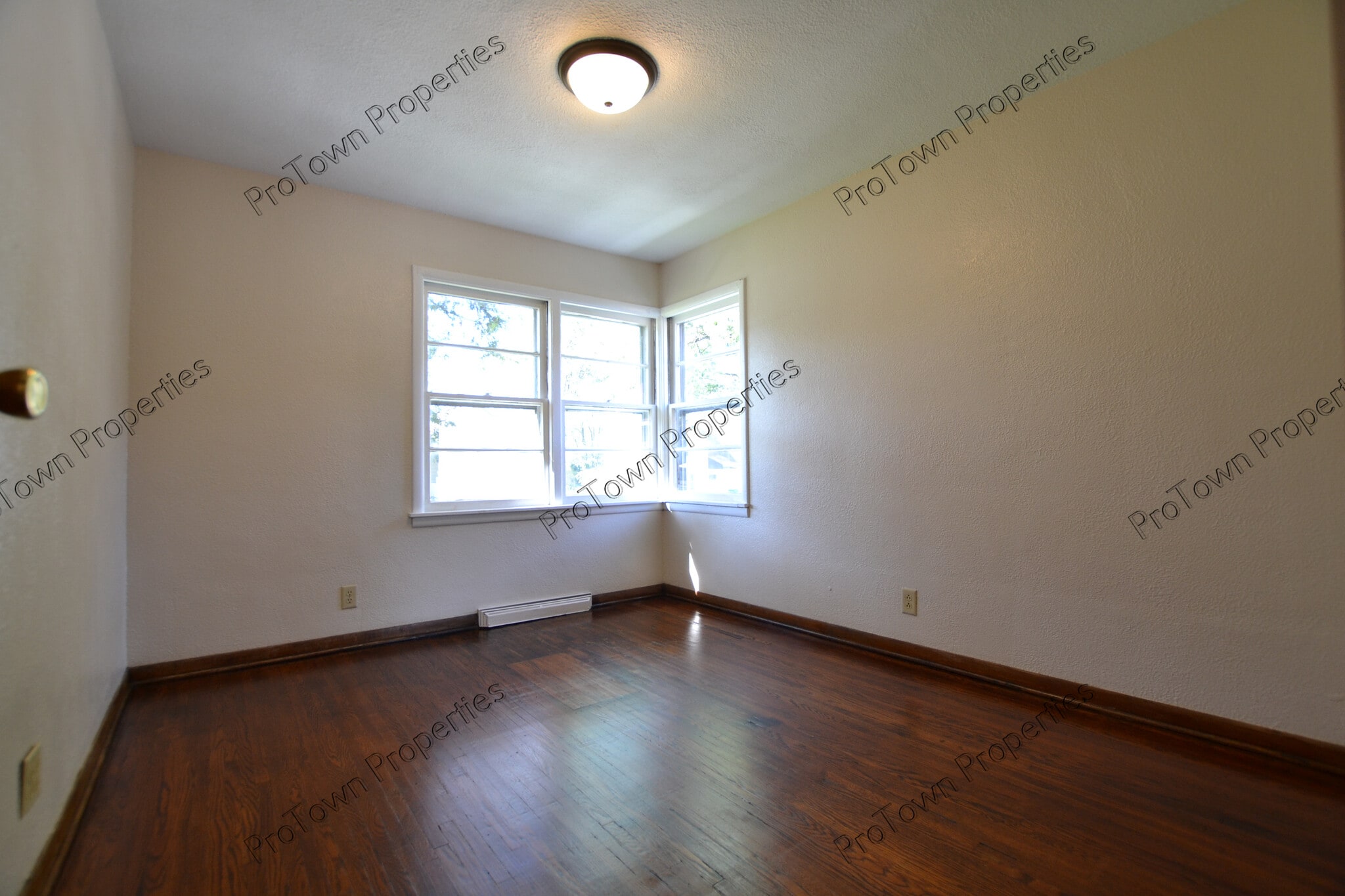 Building Photo - 521 Elmwood Ave