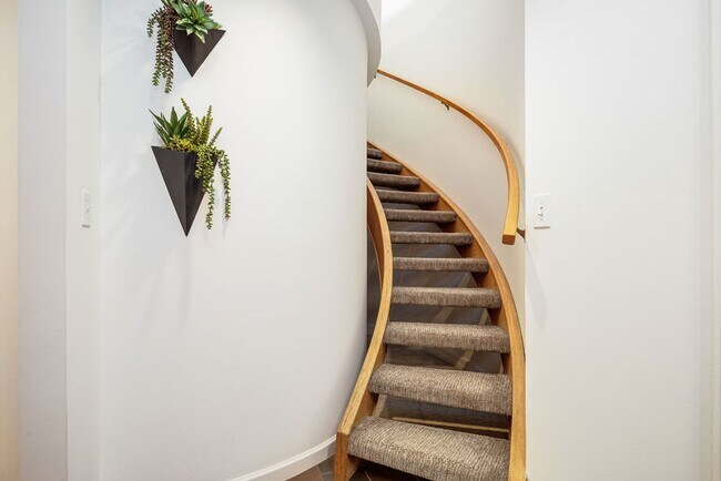 Building Photo - North Capitol Hill One-of-a- Kind Duplex!