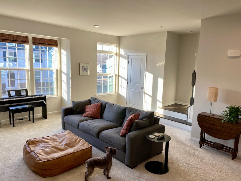 Living room - 247 Madison Ln