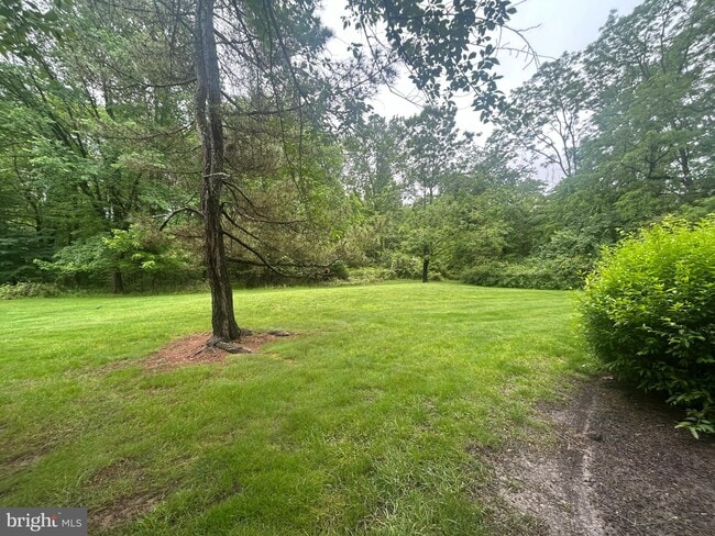 Building Photo - 31 Abelia Ct
