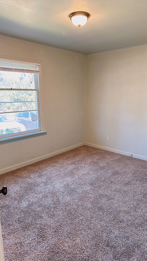 Building Photo - Cute 3bdrm/1 bath cottage with big yard