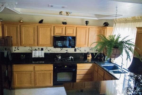 Building Photo - 1180 Pan Ct