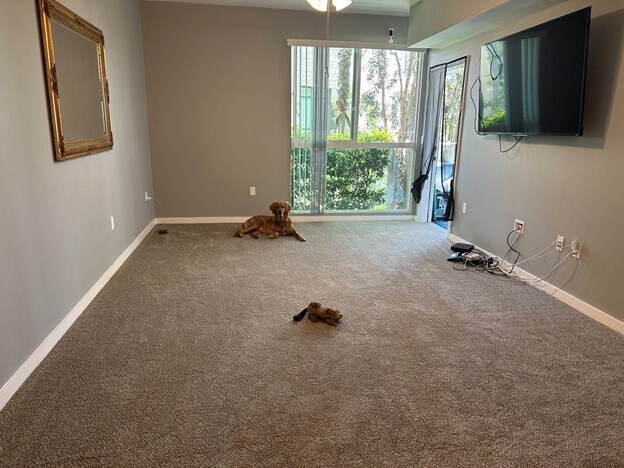 Building Photo - 12655 Bluff Creek Dr