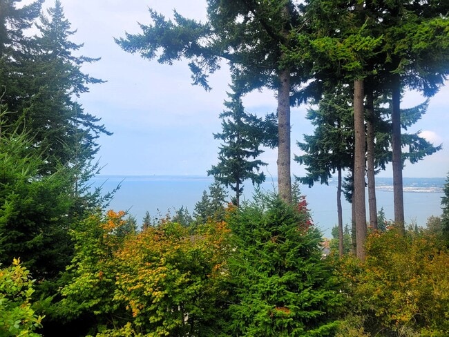 Building Photo - Beautiful South Hill Home with Bay Views 3...