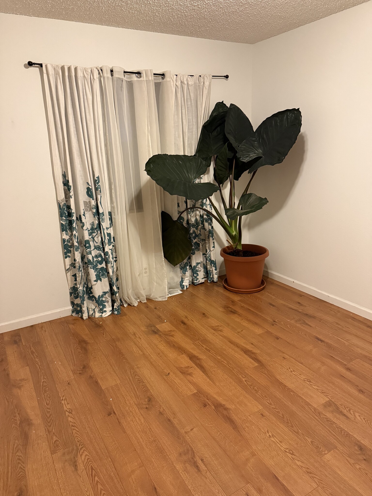 Building Photo - 1868 Cherokee Dr