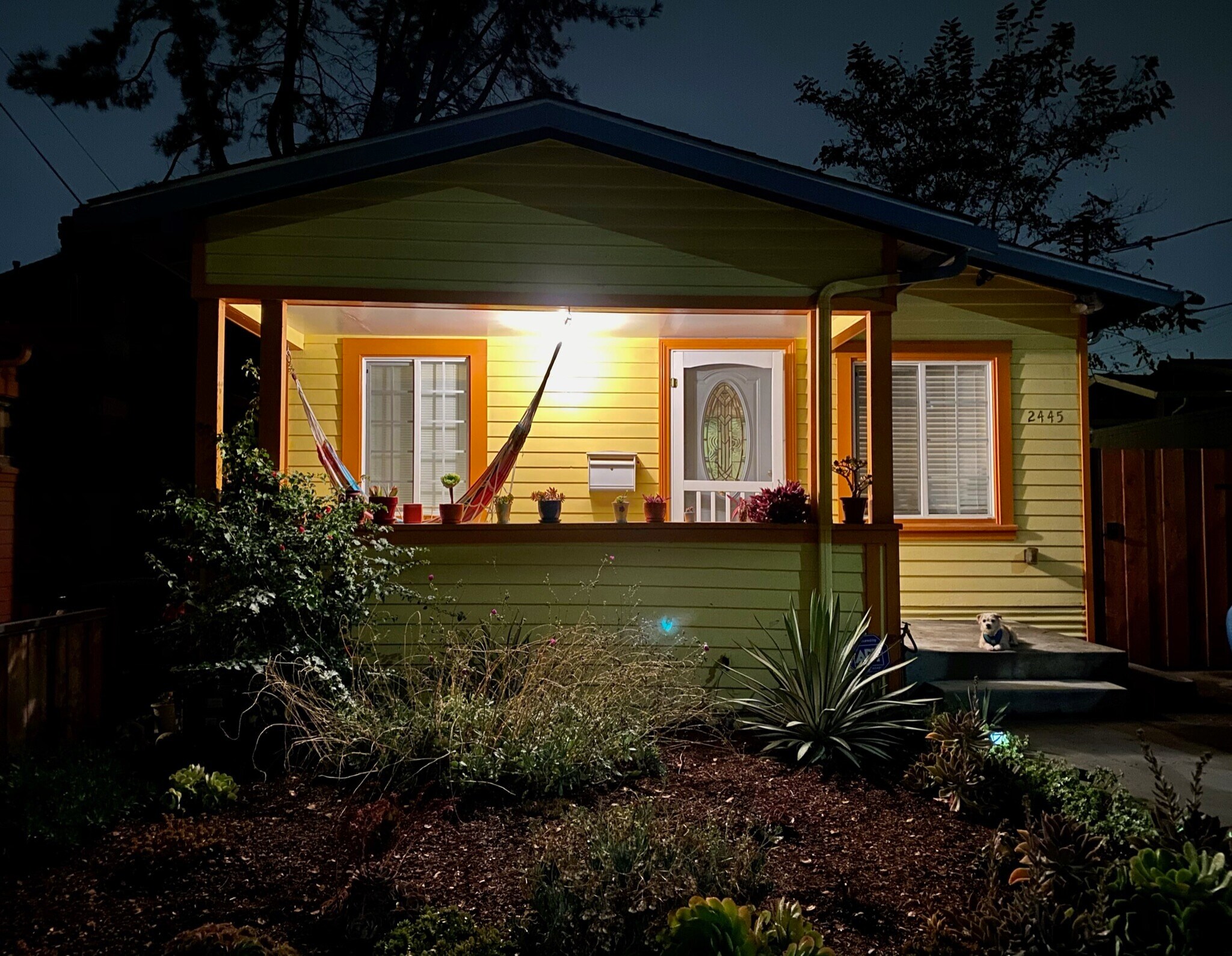 Main house at night - 2445 Harrington Ave