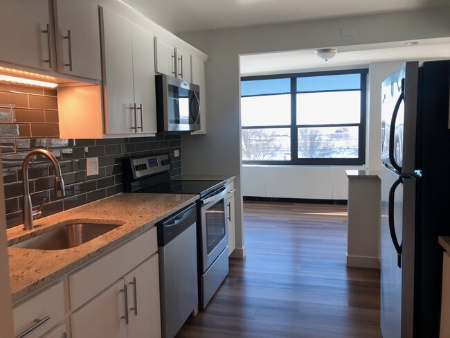 Similar kitchen to show finishes - 1234 S Michigan Ave