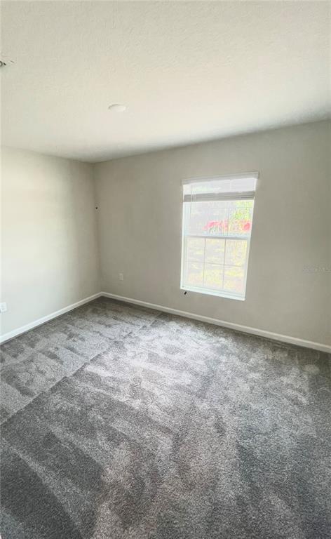 Building Photo - 4291 Blackshear Ct