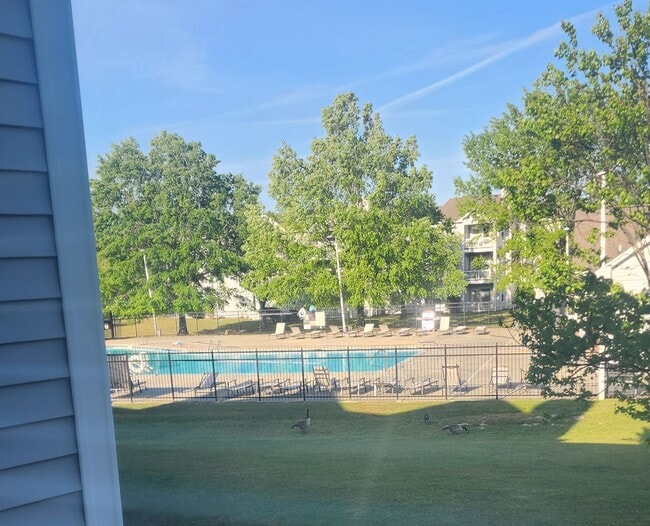 Building Photo - 300 Waterdown Dr