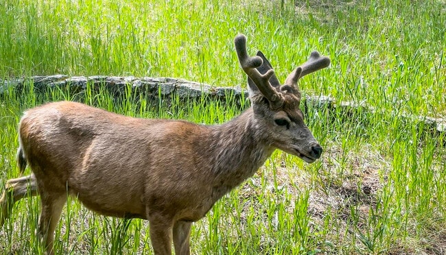 Building Photo - 28940 Golf Way