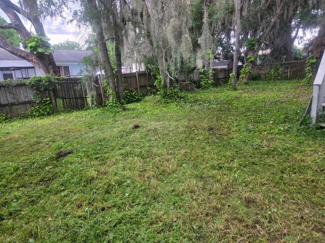 Building Photo - 3 bedroom in Middleburg FL 32068