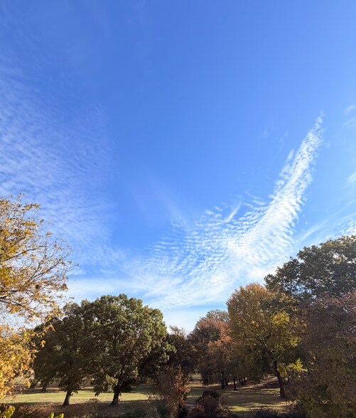 Building Photo - 3850 Jackson Ave