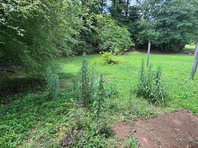 Building Photo - 8170 Canyon Forge Dr