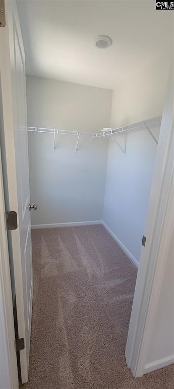 Building Photo - 428 Mahasset Court