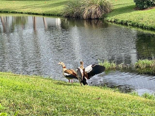 Building Photo - 2929 SE Ocean Blvd