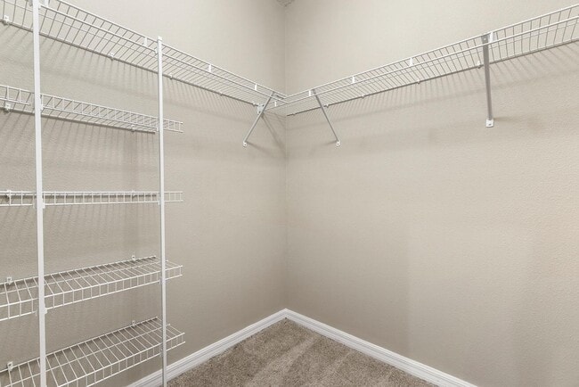 Building Photo - 8749 Falling Blue Pl