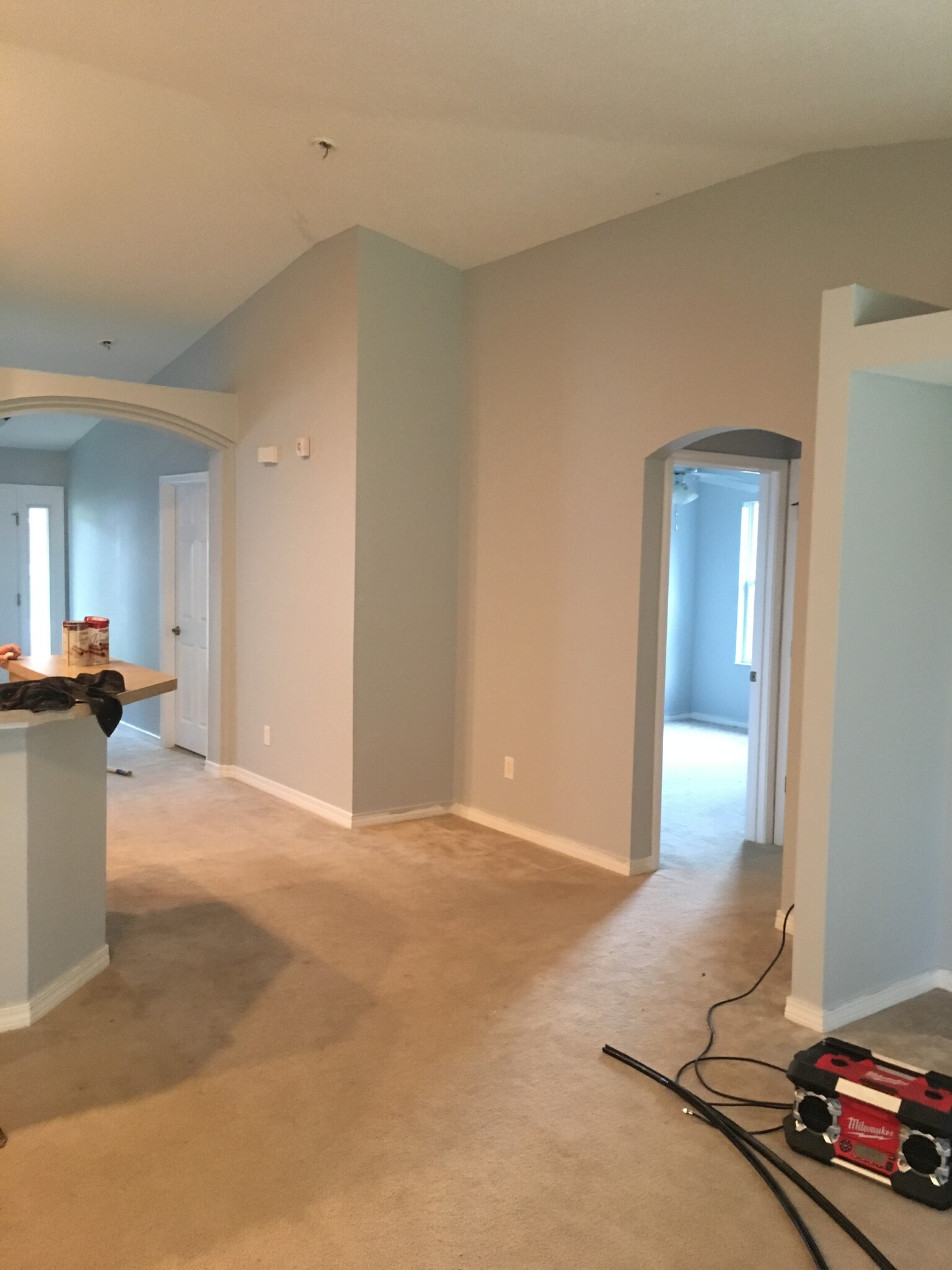 Living area towards entry - 227 Woodsong Drive