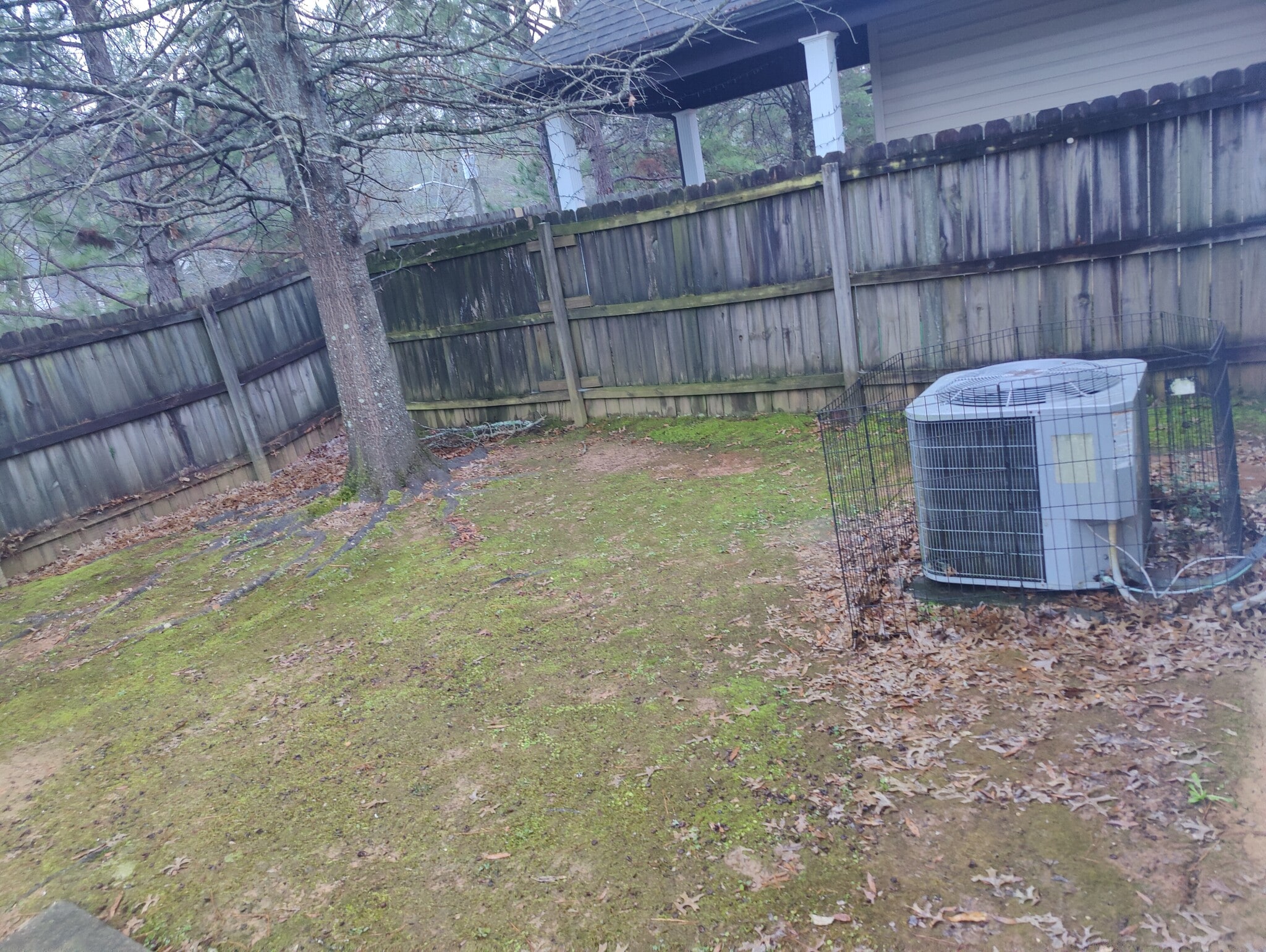 Backyard1 - 5254 Cottage Ln