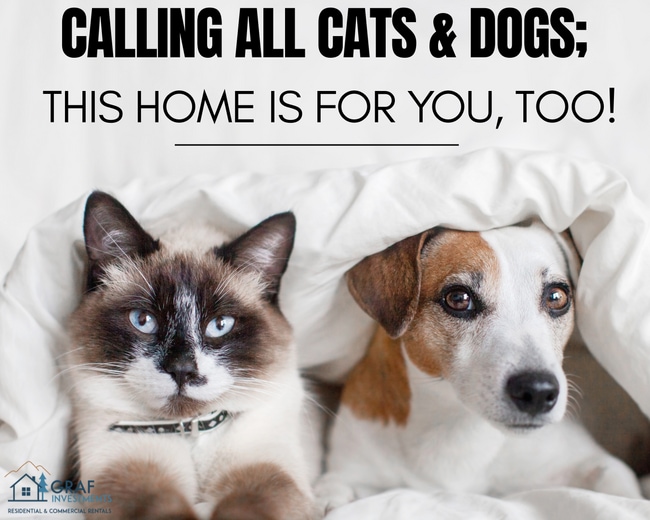 Building Photo - YAK017