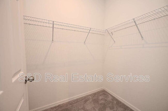 Building Photo - 685 Crown Rose Dr